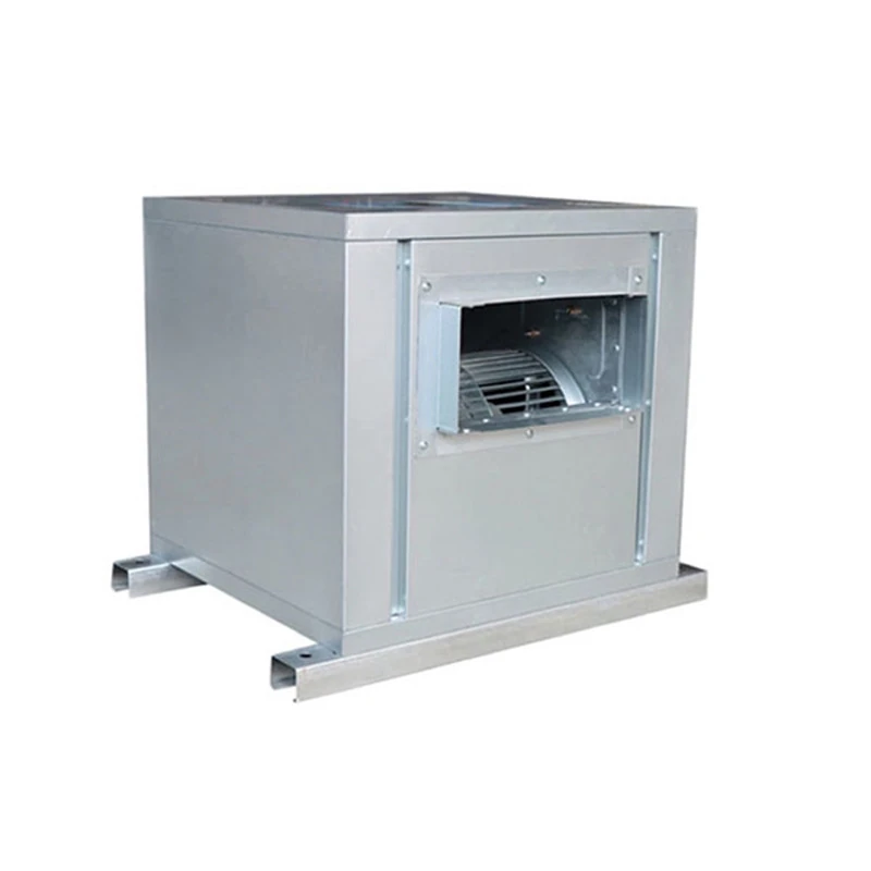 product-800-800 product-800-800